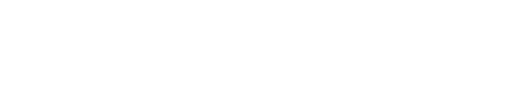 Constant Leads Logo